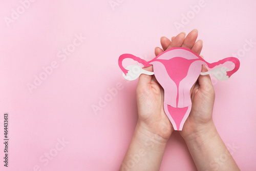 Women's health, gynecology and reproductive system concept. Woman hands holding decorative model uterus on pink background. Top view, copy space photo