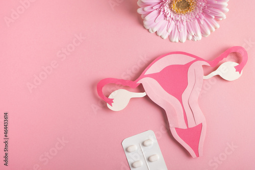 Women's health, reproductive system concept. Decorative model uterus, pills and flower on pink background. Top view, copy space photo