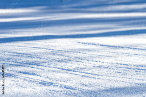 snowy sunny landscape, sparkling snow