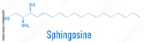Sphingosine or 2-amino-4-trans-octadecene-1,3-diol, lipid molecule. Skeletal formula. photo