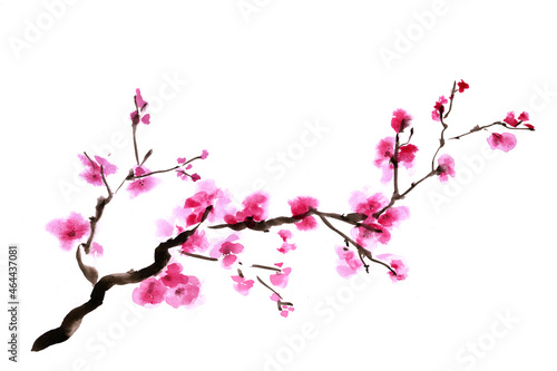 Art watercolor - a branch of blooming sakura. Hand-drawn illustration for greeting cards, posters and professional design. Japanese painting flowering tree branch. Isolated on a white background.