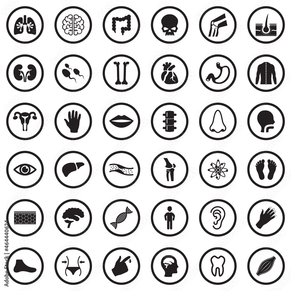 Human Anatomy Icons. Black Flat Design In Circle. Vector Illustration. Human Anatomy Icons. Black Flat Design In Circle. Vector Illustration.
