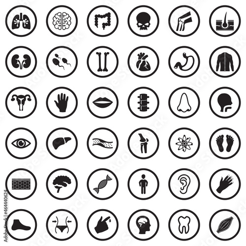 Human Anatomy Icons. Black Flat Design In Circle. Vector Illustration.