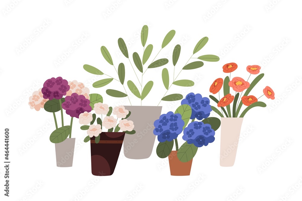 Blossomed flowers, floral and foliage plants in buckets, vases and pots. Modern blooming flora with fresh cut roses and hydrangea in flowershop. Flat vector illustration isolated on white background Blossomed flowers, floral and foliage plants in buckets, vases and pots. Modern blooming flora with fresh cut roses and hydrangea in flowershop. Flat vector illustration isolated on white background