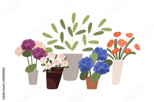 Blossomed flowers, floral and foliage plants in buckets, vases and pots. Modern blooming flora with fresh cut roses and hydrangea in flowershop. Flat vector illustration isolated on white background