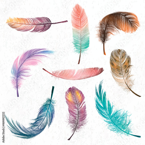 Papier peint Colorful feather element vector set