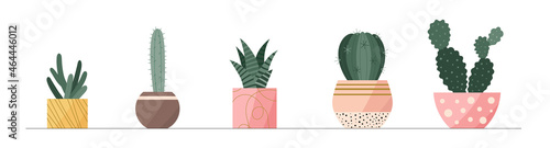 Trendy collection of home cute cactus plants in flowerpots pack icons. Set of mini cacti succulent plants in pots modern illustrations. Cozy vector decoration elements in flat swiss graphic style.
