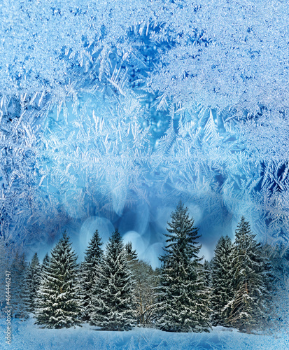 frozen window and behind it a winter forest © Vera Kuttelvaserova