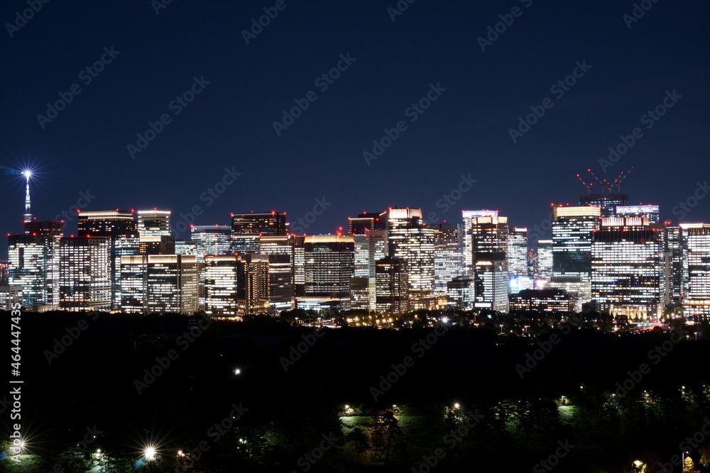 Tokyo, Castle, Imperial Palace, Woodland, Skyscrapers, Otemachi, Night Tokyo, Castle, Imperial Palace, Woodland, Skyscrapers, Otemachi, Night