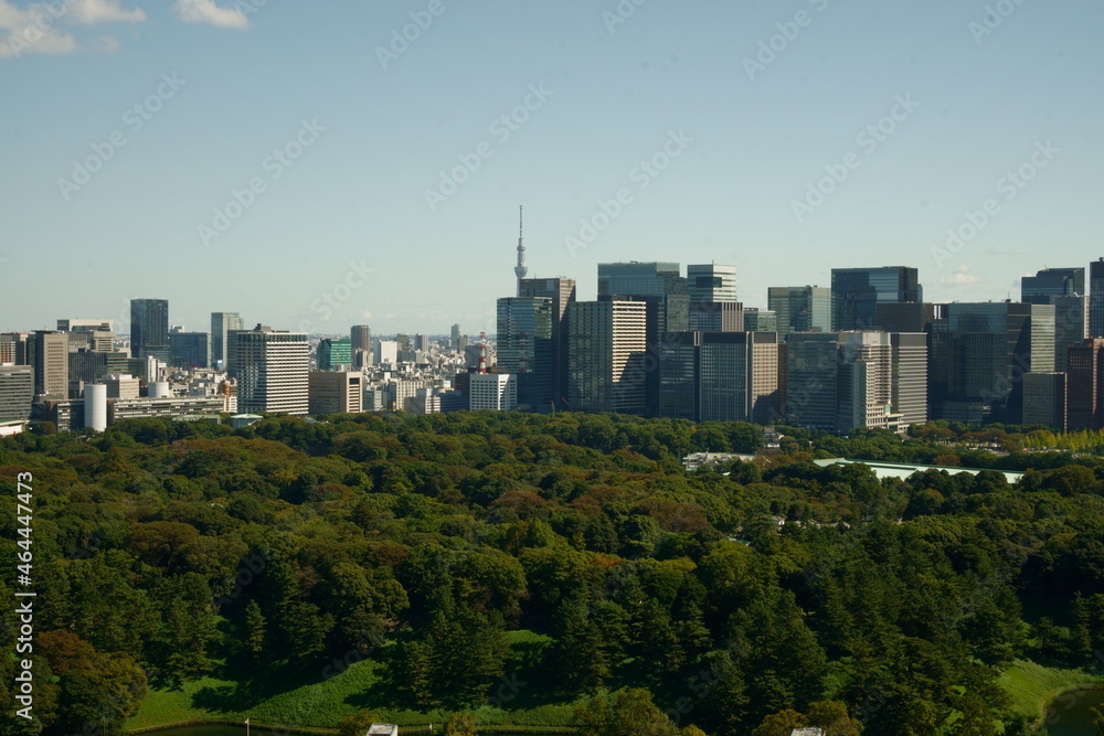 Tokyo, Castle, Imperial Palace, Woodland, Skyscrapers, Otemachi