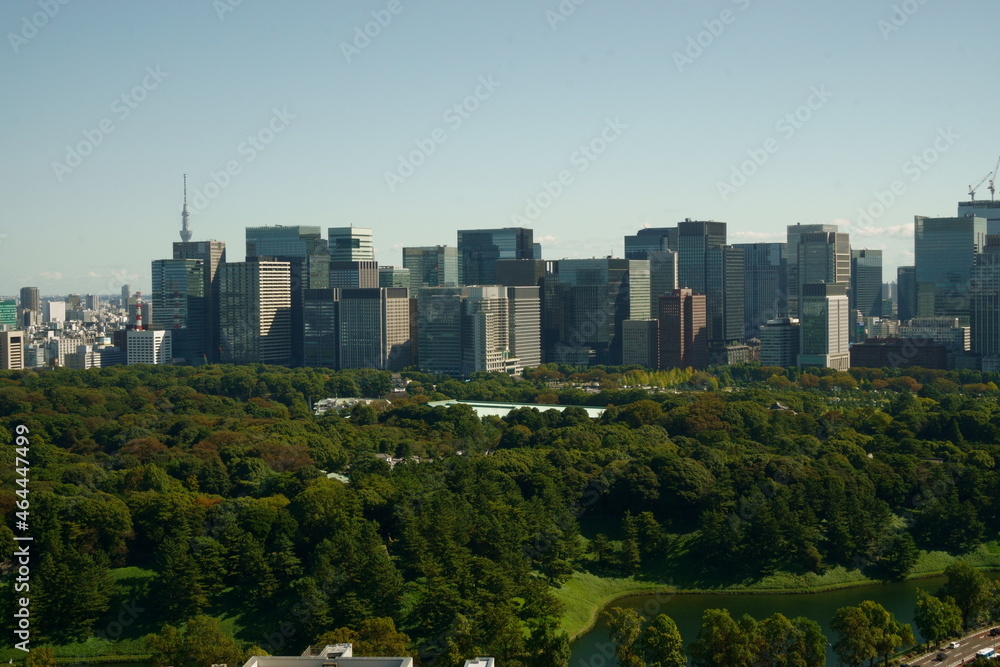 Fototapeta premium Tokyo, Castle, Imperial Palace, Woodland, Skyscrapers, Otemachi