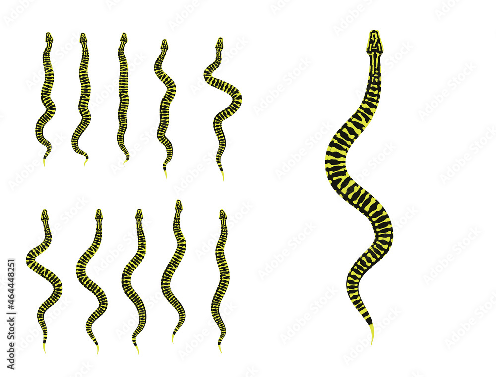 Animal Animation Sequence Carpet Python Cartoon Vector Animal Animation Sequence Carpet Python Cartoon Vector