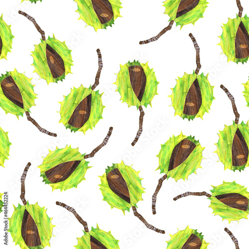Seamless pattern with chestnuts. Green watercolor illustration
