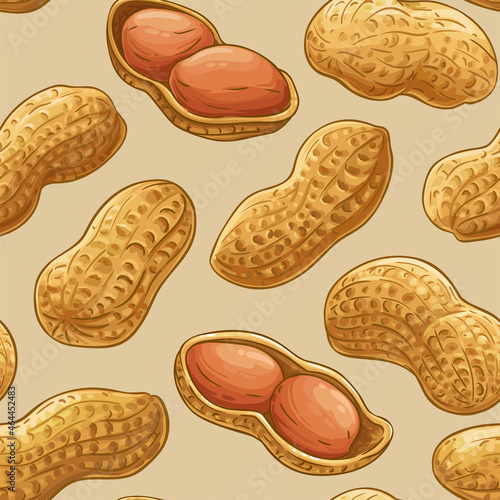peanut vector pattern on color background