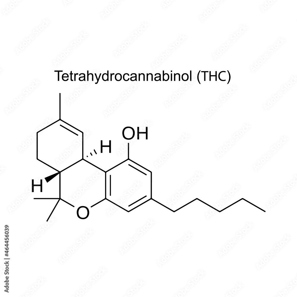 Structure of tetrahydrocannabinol (THC) isolated on white background. Tetrahydrocannabinol (THC) is a cannabinoid, a type of non-psychoactive compound found in cannabis. Structure of tetrahydrocannabinol (THC) isolated on white background. Tetrahydrocannabinol (THC) is a cannabinoid, a type of non-psychoactive compound found in cannabis.