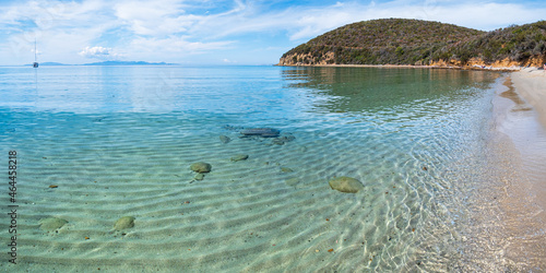 Empty beach at Cala Violina, Tuscany, Italy. Sand bay in natural park dramatic coast rocky headland and pine forest mediterranean sea turquoise transparent water