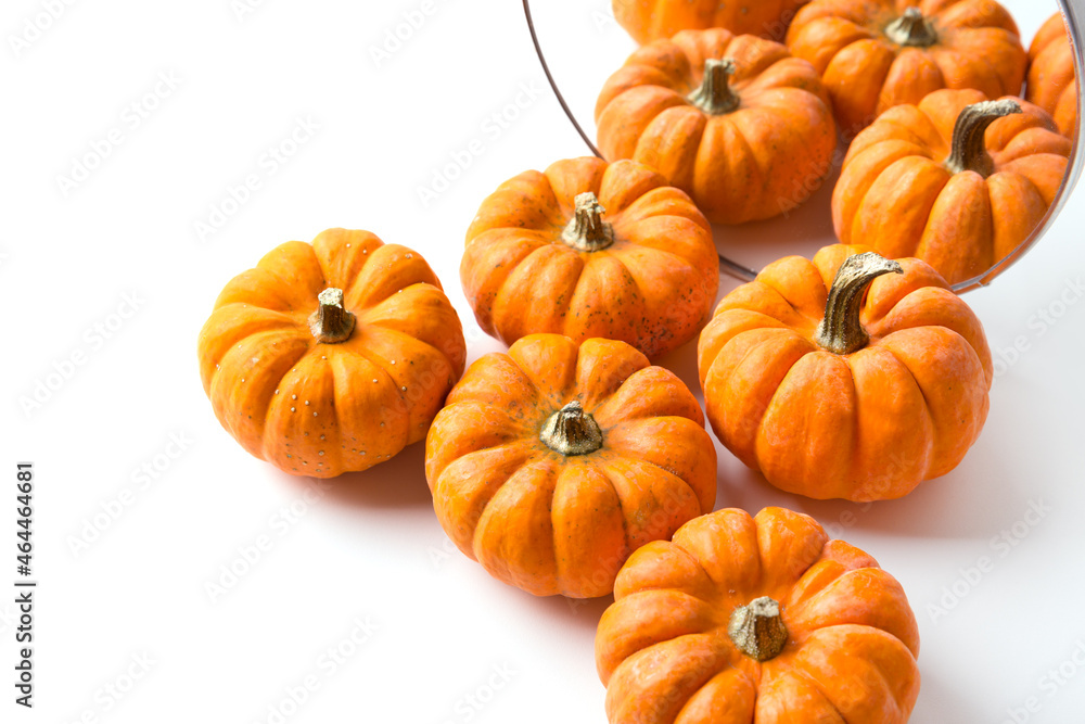 Orange decorative pumpkins with reflection in round mirror. Autumn and Halloween stylish home decor. Orange decorative pumpkins with reflection in round mirror. Autumn and Halloween stylish home decor.