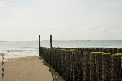 breakwaters on the empty beach 