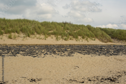 sand dunes in the beach