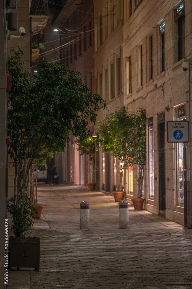 Shopping alley in Milan by night