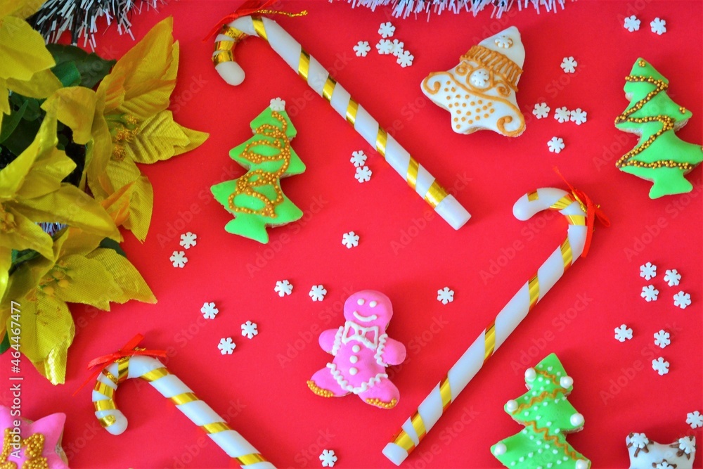 Christmas composition: Tinsel frame in the shape of a tree branch and golden poinsettias on a red background with Christmas cookies decorated with colored icing and candy canes
