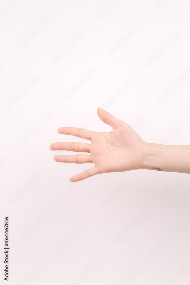 hand showing number five In front of the white background hand showing number five In front of the white background