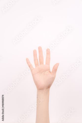 hand showing number five In front of the white background © Jun