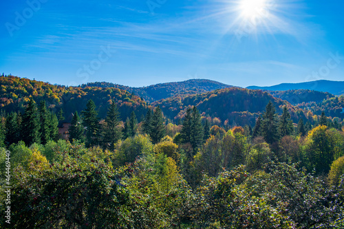 Carpathian hills, autumn daytime landscape