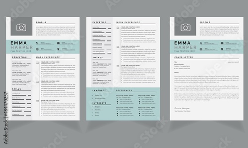 Professional Resume Set with Grey Sidebar and Stream Accents