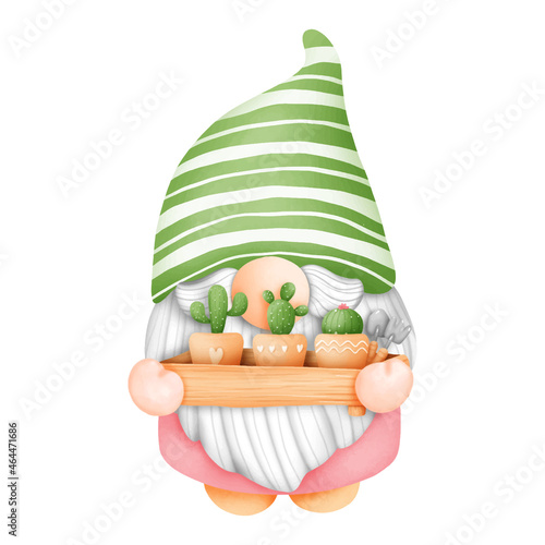 Digital painting watercolor cactus gnome element. plant and gardening vector.