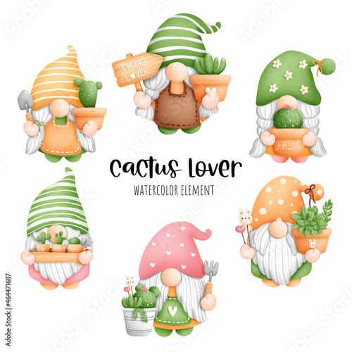Digital painting watercolor cactus gnome element. plant and gardening vector.