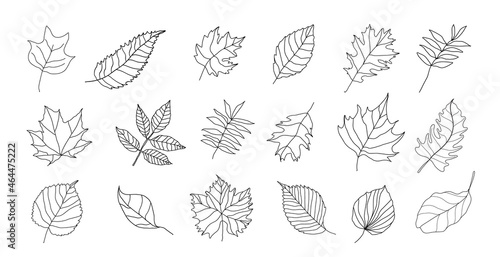 Set of autumn doodle leaves vector. Hand drawn Leaf line arts.