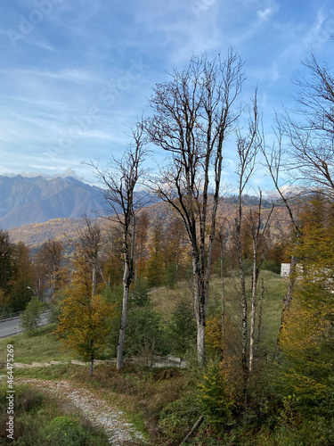 Autumn landscape against the backdrop of snow-capped peaks of the Caucasus Range Mountains