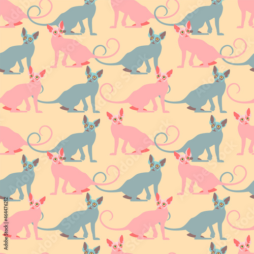 Seamless pattern with the image of bald cats of the Sphinx breed. Design for textile and wallpaper decoration.
