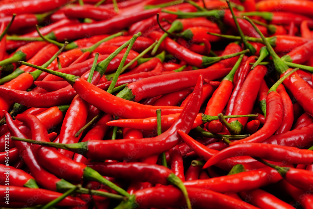 top view of a pile of fresh chili and ripe red peppers Background textures or templates to simulate or enter text.	
