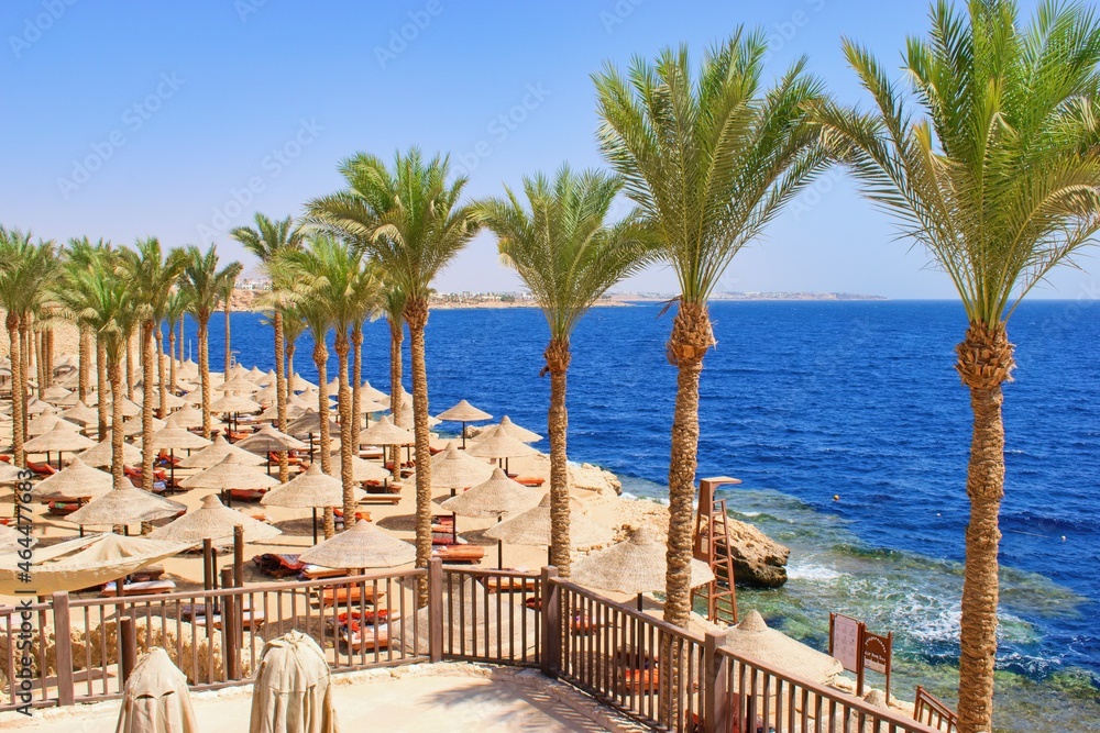Idylic hotel beach with sun umbrelas, Red Sea, Egypt