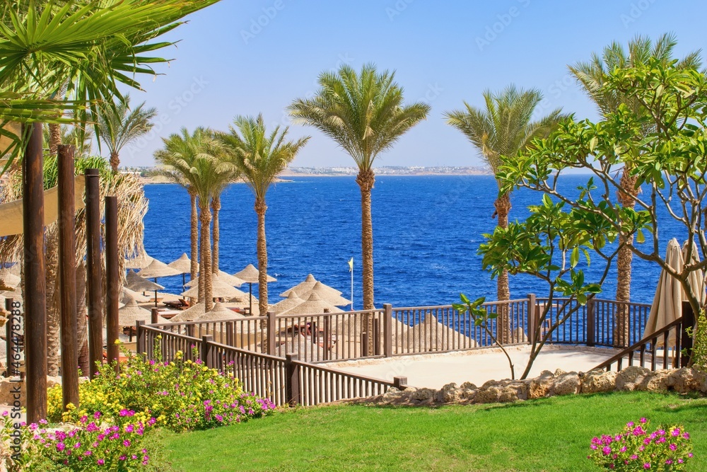 Idylic hotel beach with sun umbrelas, Red Sea, Egypt Idylic hotel beach with sun umbrelas, Red Sea, Egypt