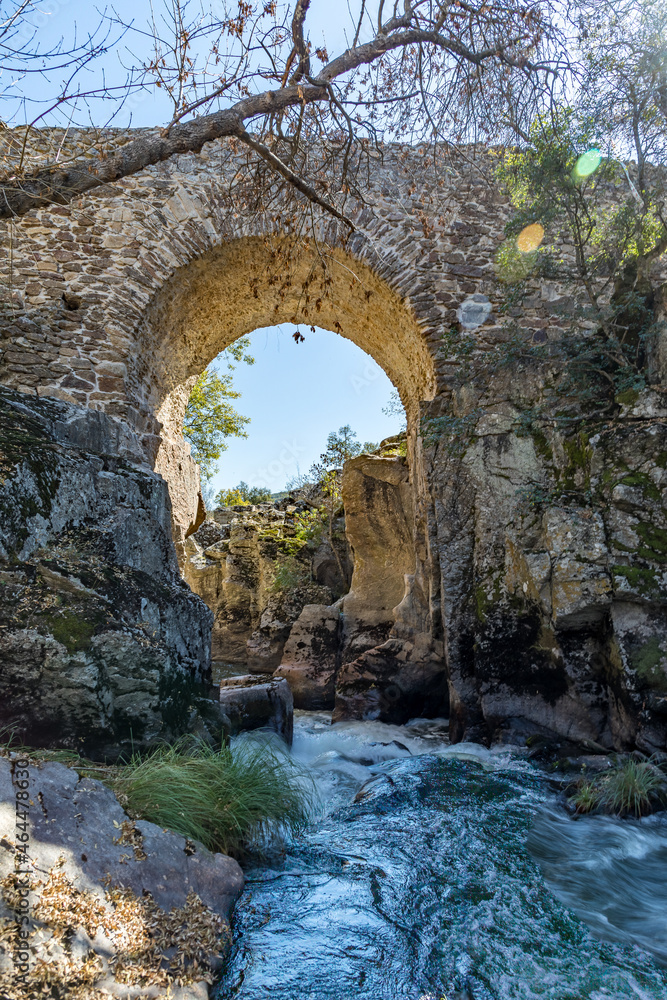 Obraz premium Matafrailes medival bridge over the Lozoya river in the Sierra de Guadarrama, Madrid