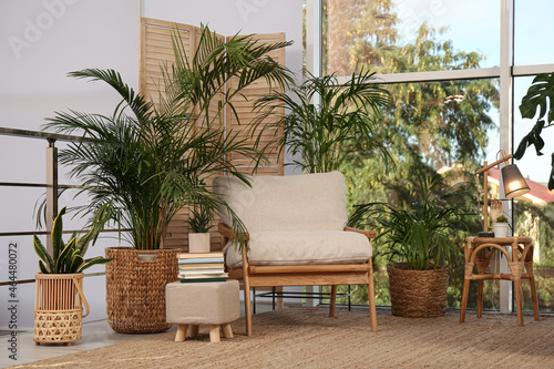 Stylish room interior with comfortable armchair and different exotic houseplants