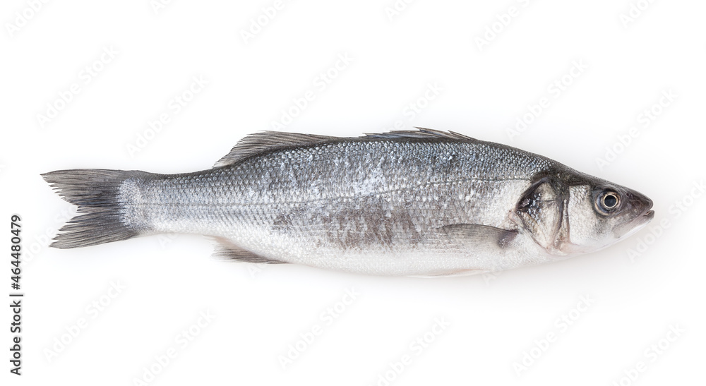 Fresh uncooked sea bass isolated on white background Fresh uncooked sea bass isolated on white background