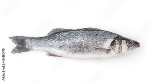 Fresh uncooked sea bass isolated on white background