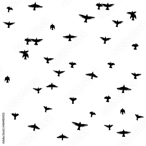 A large flock of flying birds. Free birds seamless background. Vector illustration