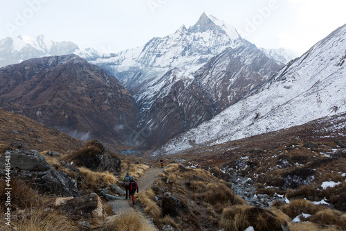 Fototapeta Naklejka Na Ścianę i Meble -  Hikers walk the track ABC to Machhapuchhre Base Camp, Annapurna Conservation Area, Himalaya, Nepal