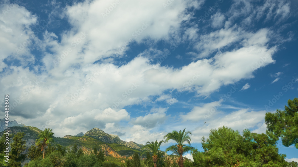 beautiful clouds against blue sky, mediterranean coast with mountains, palms and pines