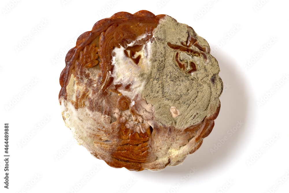 top view badly moldy moon cake on white background top view badly moldy moon cake on white background