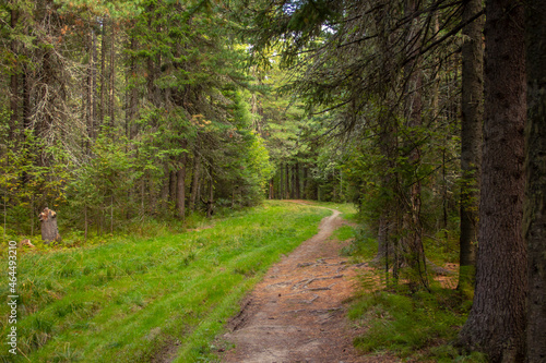 Roads and trails of the Samarovsky Chugas natural park. Samarovsky Chugas Natural Park in Khanty-Mansiysk in Russia.