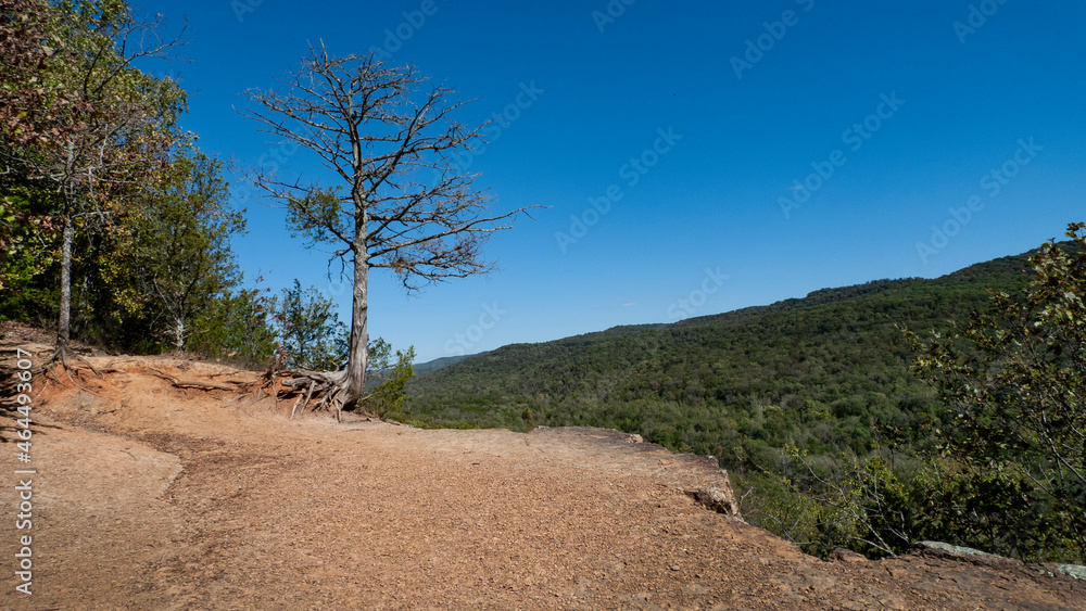 Hiking Trail overlook at Devil's Den State Park, Arkansas Hiking Trail overlook at Devil's Den State Park, Arkansas