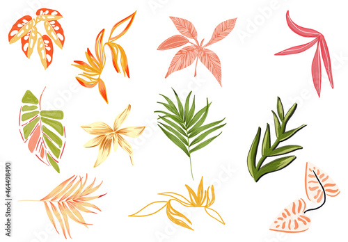 marker nature flowers watercolor leaves handmade botanical set manual illustration gouache palm leaves