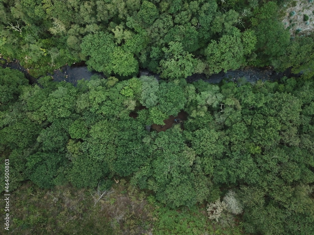 Naturaleza con dron Naturaleza con dron