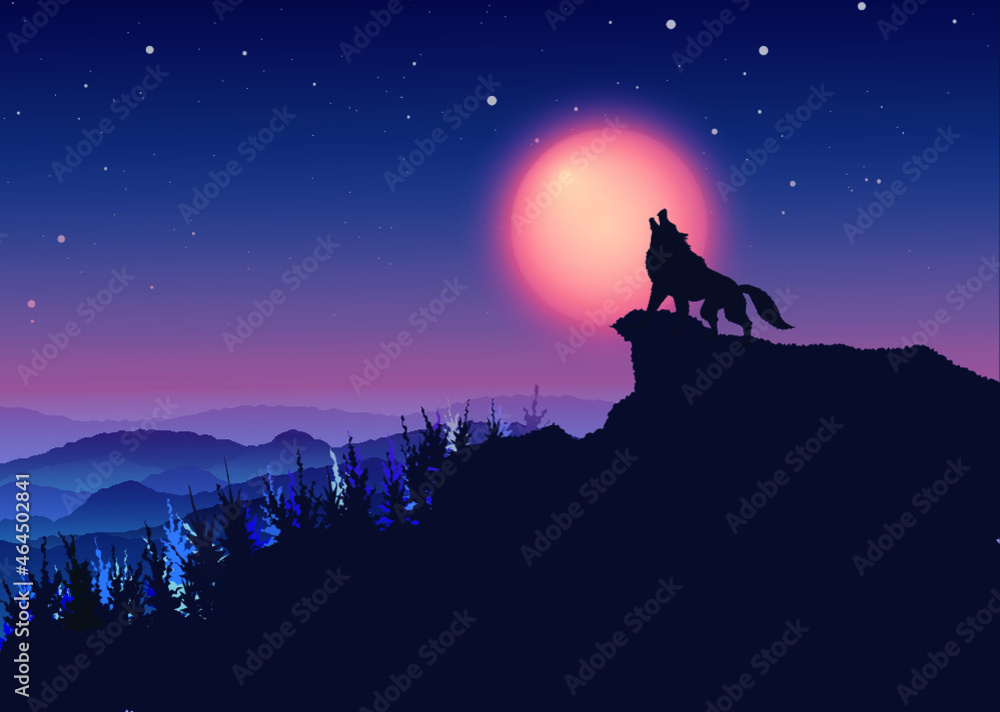Fototapeta premium Wolfsgeheul